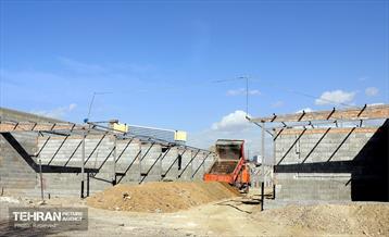 اینجا کارگاهه؛ بازار پرندگان خلیج فارس 22