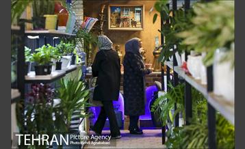 مرکز گل و گیاه ایوار 14