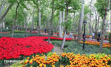 تور عکاسی از باغ ایرانی 15