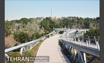 سایه ویروس کرونا بر شهر 3