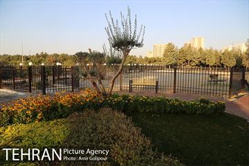 باغ راز هستی 16