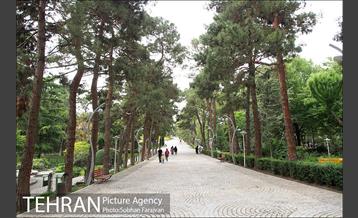 بوستان ساعی 12