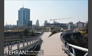 سایه ویروس کرونا بر شهر 12