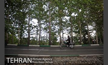 پارک جنگلی لویزان‎ 44