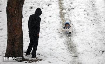 بارش برف در تهران 24