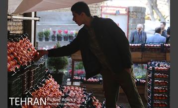 نخستین جشنواره خرمالو در روستای کشار سفلی 12