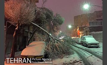 صبح برفی تهران 12