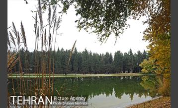 باغ گیاه‌شناسی ملی ایران 13