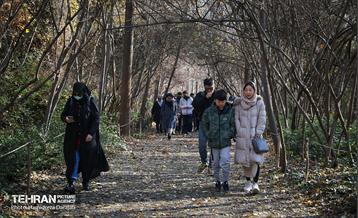 تور تهرانگردی ویـژه خانواده دیپلماتیک در منطقه 22