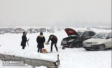 بارش برف در تهران 8