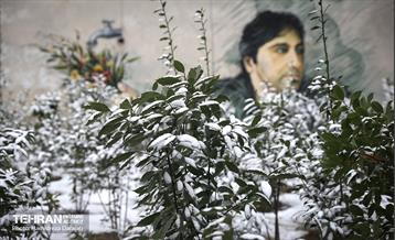 برف چهره تهران را سپیدپوش کرد 46