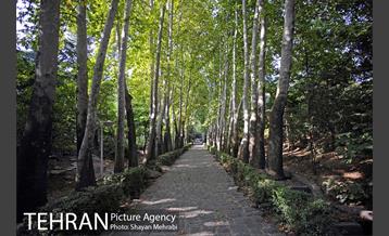 بوستان جمشیدیه 2