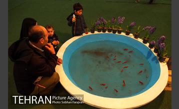 برج میلاد در نوروز  17