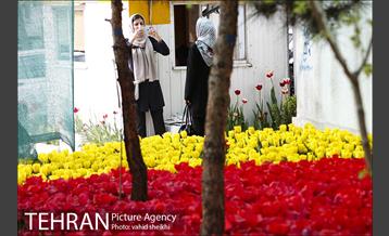 پیاده راه لاله برای مادران 3