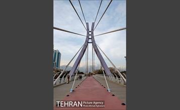 روز درختکاری در گنبد مینا 13