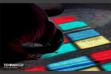 آستان دل ها؛ امامزاده صالح(ع) 13
