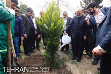 مراسم کاشت نهال در هفته منابع طبیعی (درخت فرهنگ و هنر) 18
