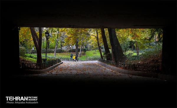 سمفونی رنگ های پاییزی - پارک ملت 13