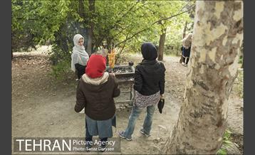 بوستان جنگلی لویزان 12