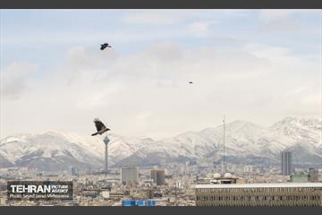 تهران 26