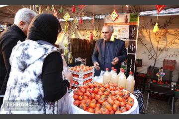 ششمین جشنواره خرمالو 1