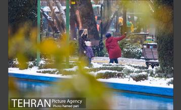 روز برفی تهران در پارک شهر 19
