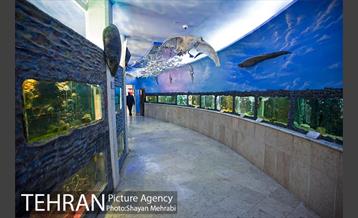 موزه طبیعت و حیات وحش دارآباد تهران 15