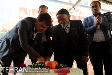 نخستین جشنواره خرمالو در روستای کشار سفلی 36