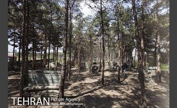 پارک سرخه حصار‎ 20