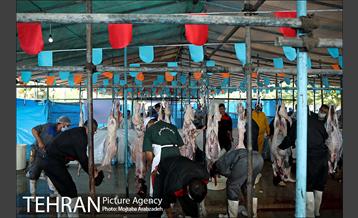 مرکز عرضه دام بهداشتی به مناسبت عید قربان در منطقه 14