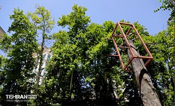 جان دوباره در درختستان 2