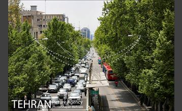 ولیعصر(عج)؛ خیابانی به درازای خاورمیانه 5