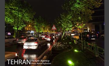 نورپردازی درختان بلوار میرداماد 12