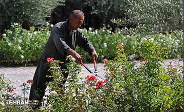 بازدید اصحاب رسانه از روند انجام عملیات احیای چیتگر 31