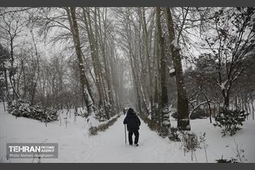 روز برفی تهران - 2 13