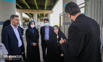 حضور سوده نجفی در منطقه 17