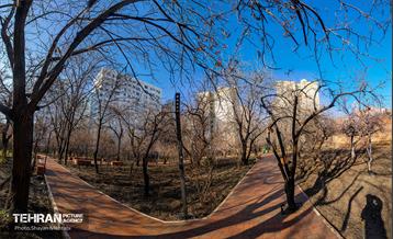 باغ گلاریس 53