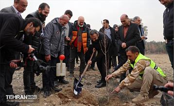 کاشت 2000 نهال مثمر در بوستان جنگلی چیتگر 26