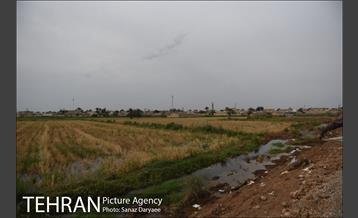 بازدید شهردار تهران ازمناطق سیل زده خوزستان 8