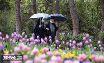 تیتر هوای بهاری تهران 22