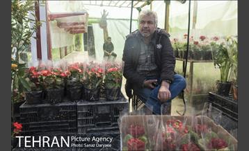 بازار گل شهید محلاتی 14