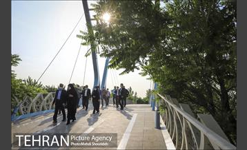 بازدید مصطفی سلیمی از پروژه های منطقه 7