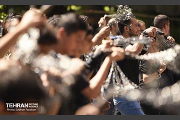 ظهر عاشورا در ده‌ ونک 5