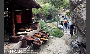 آخر هفته در ارتفاعات درکه 17