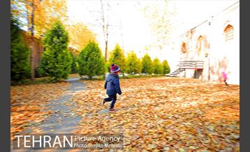 پاییز باغ موزه قصر 8