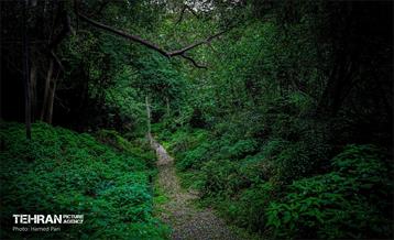 باغ گیاه‌شناسی 30