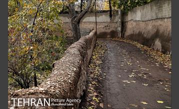 پاییز زیبای منطقه کن 6