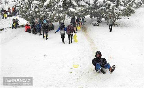 بارش برف زمستانی در منطقه 1 11