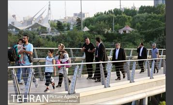 طبیعت گردی مارک ویلموتس در پل طبیعت 10