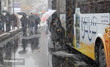 بارش نخستین برف زمستانی در تهران 10